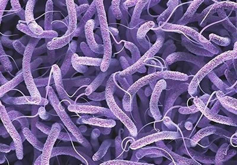 شناسایی 79 مبتلا به وبا در سال گذشته/کاهش چشمگیر آمار بیماری
